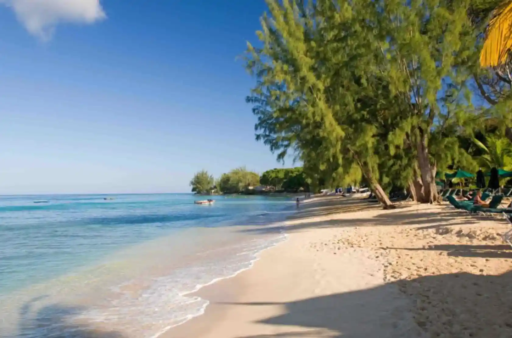 Coral Reef Club